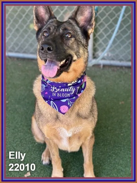 Elly