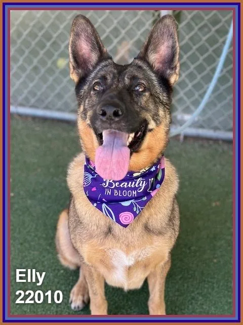 Elly thumbnail 2
