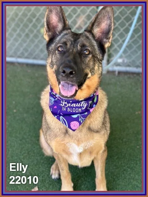 Elly thumbnail 3