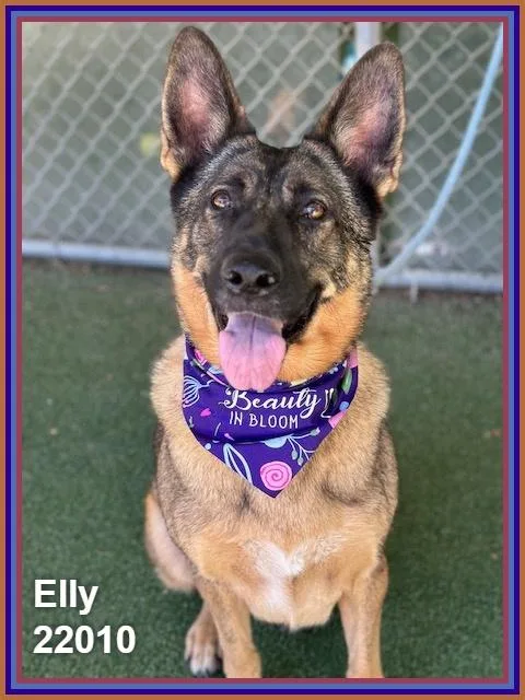 Elly thumbnail 4