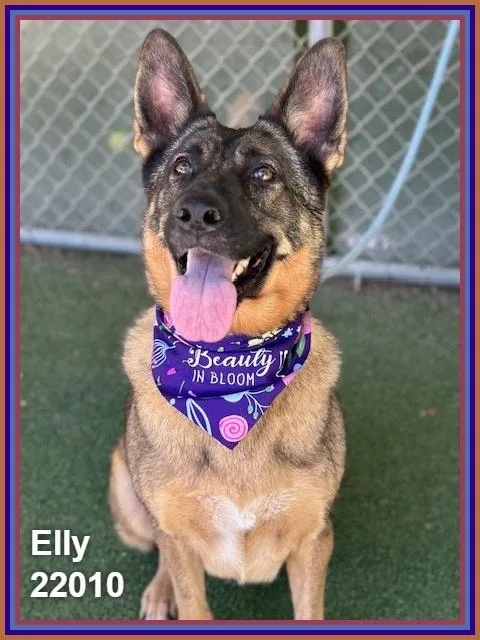 Elly thumbnail 5