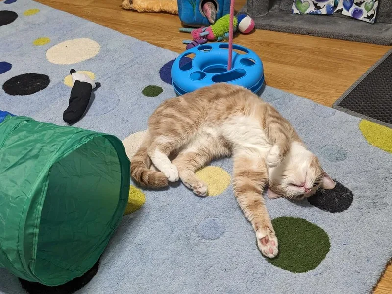 Daisy Sheppard thumbnail 2