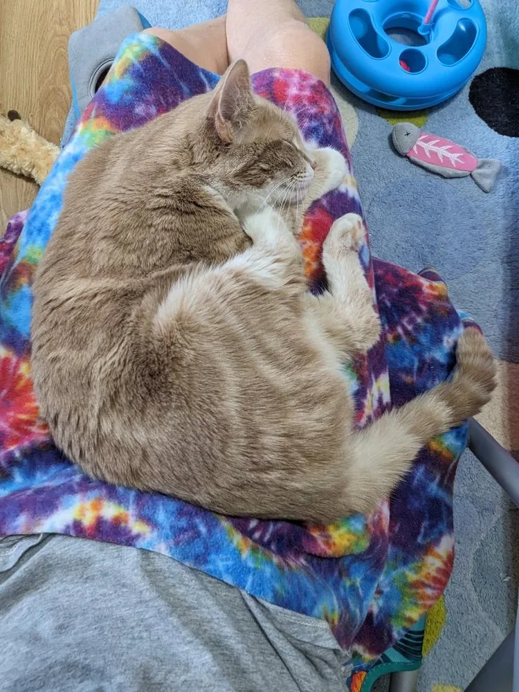 Daisy Sheppard thumbnail 3