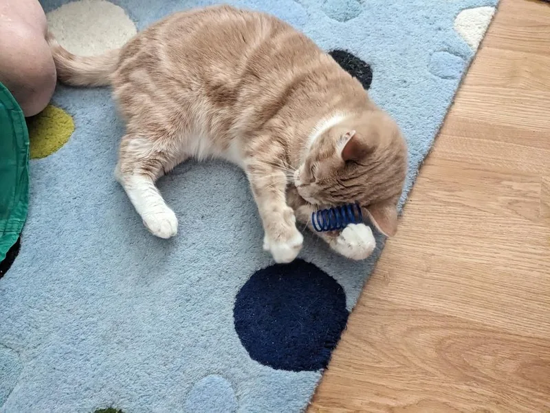 Daisy Sheppard thumbnail 4