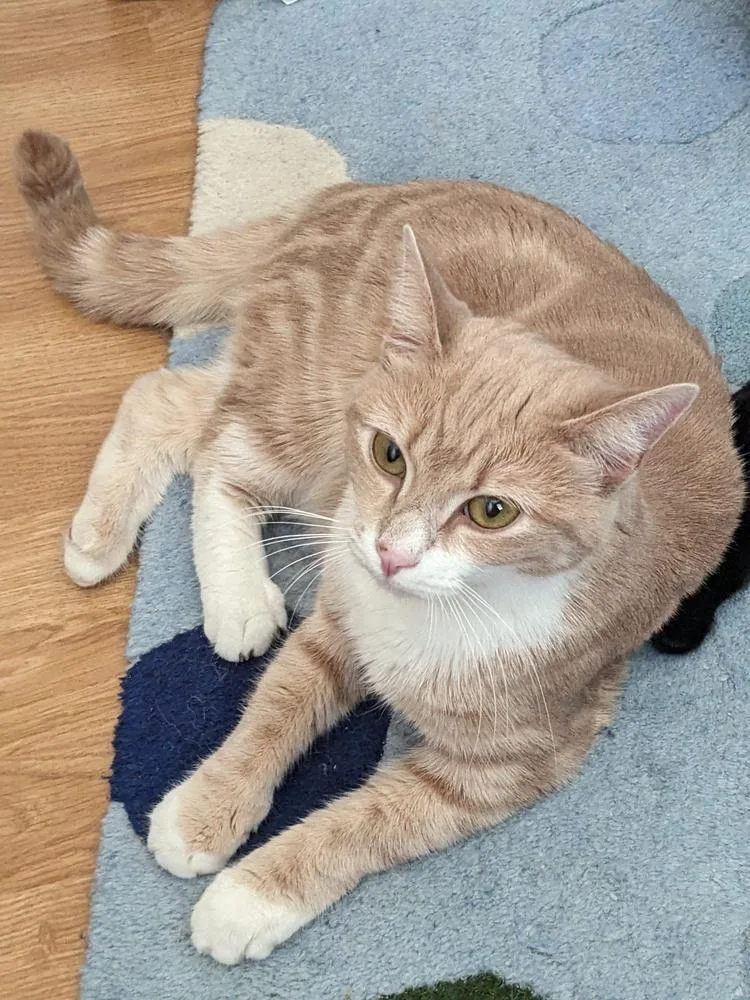 Daisy Sheppard thumbnail 5