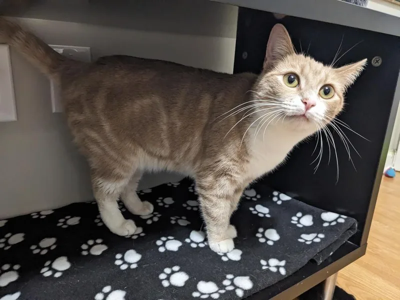 Daisy Sheppard thumbnail 6