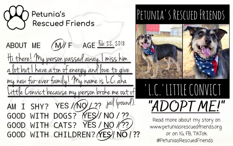 L.c.  Little Convict