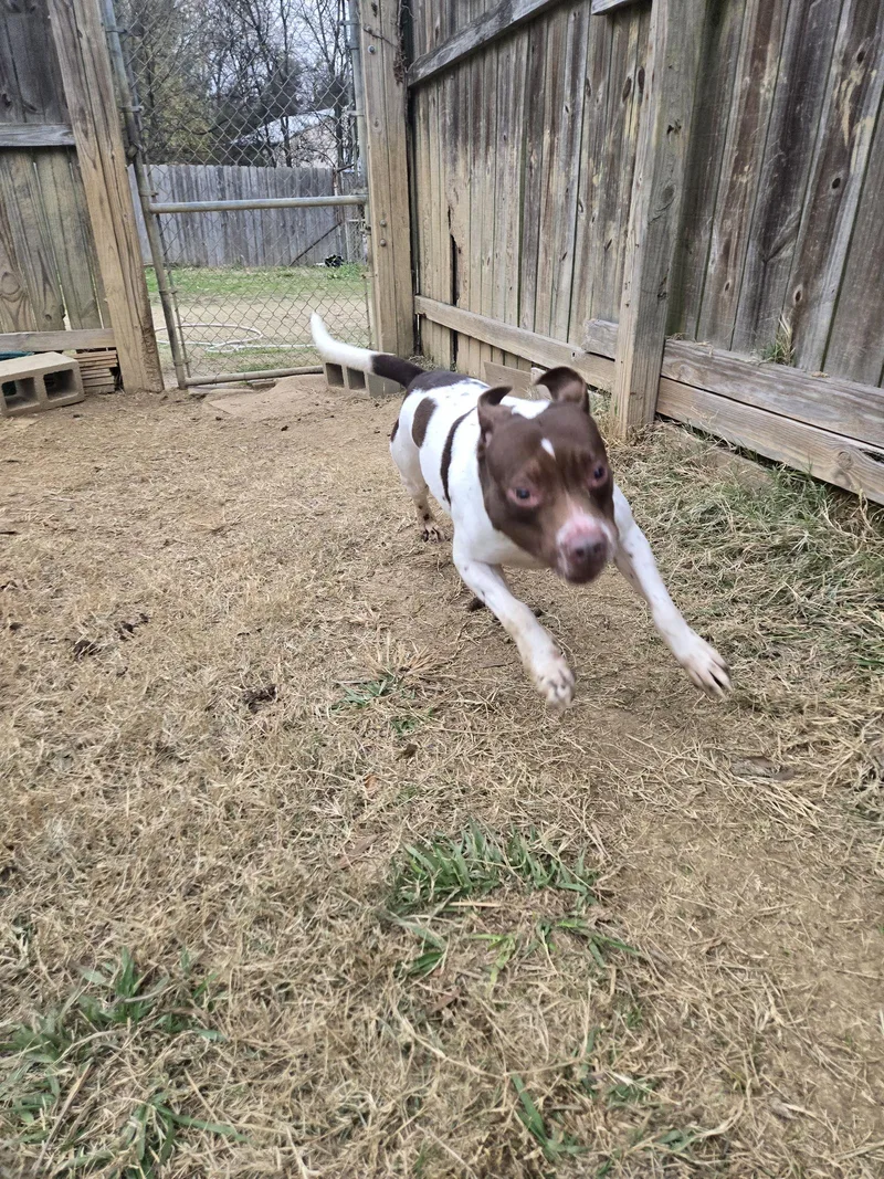 Harriett thumbnail 2