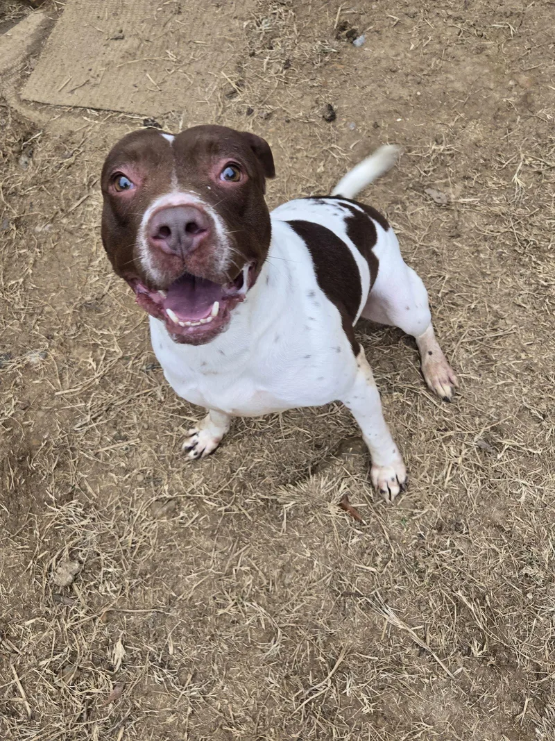 Harriett thumbnail 3