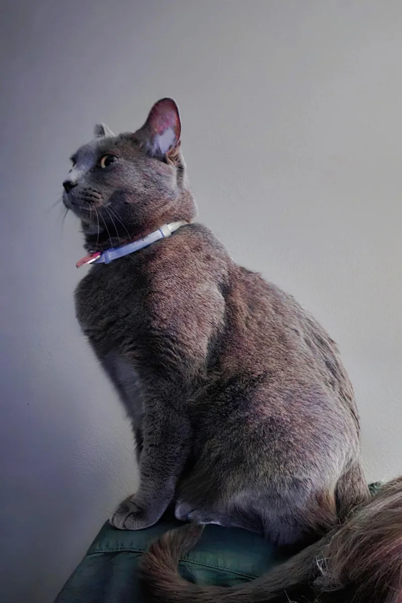 Bianca And Ella thumbnail 2