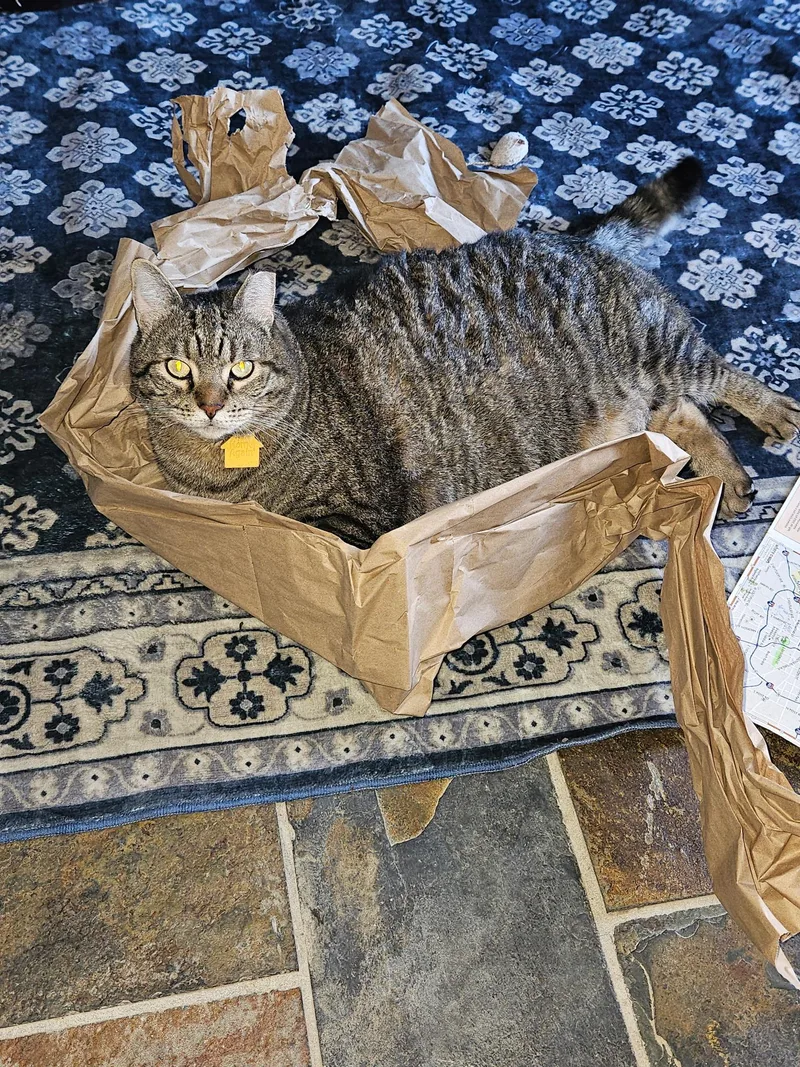 Bianca And Ella thumbnail 3