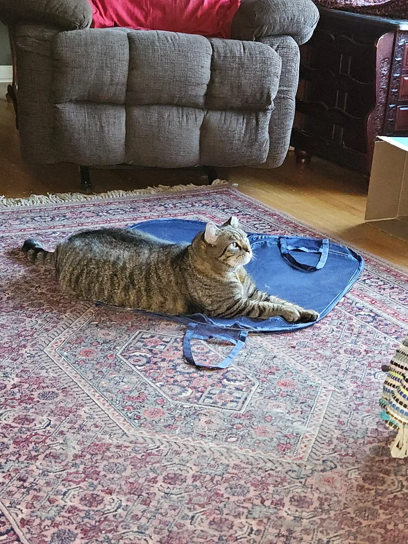 Bianca And Ella thumbnail 4