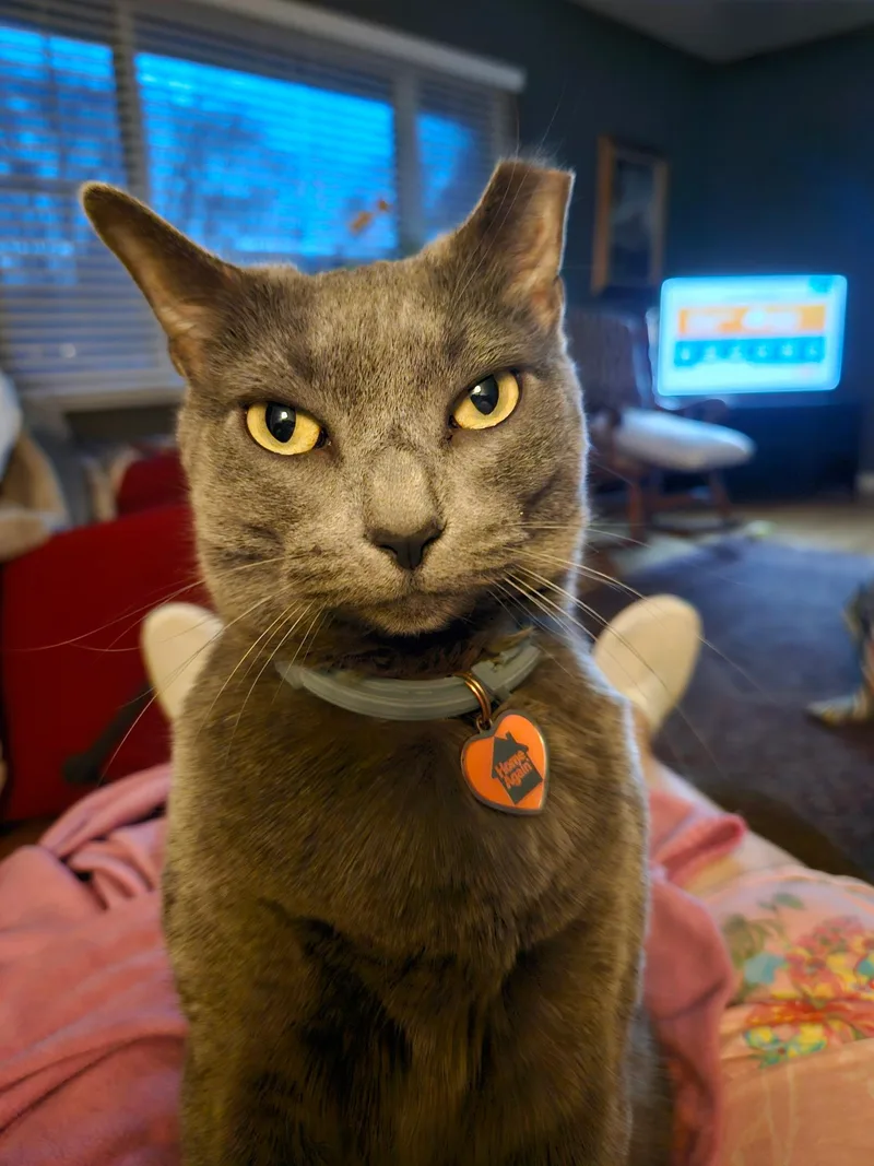 Bianca And Ella thumbnail 5