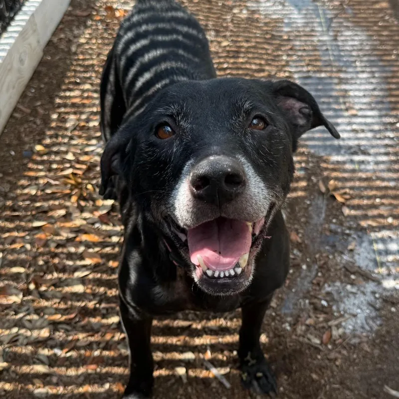 Hera thumbnail 2