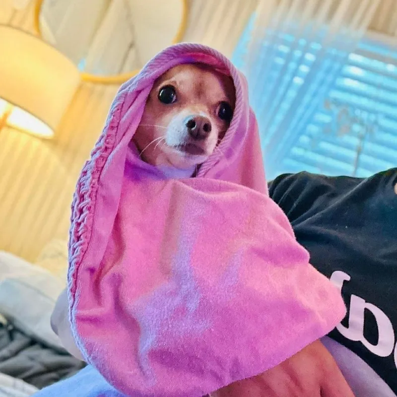 Nala thumbnail 2