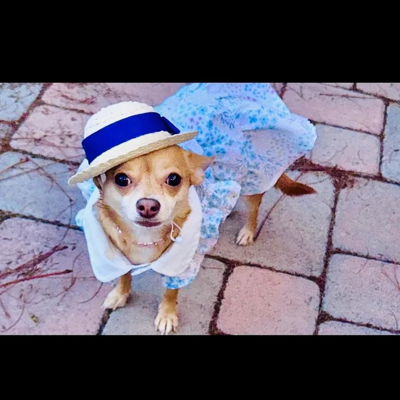 Nala thumbnail 4