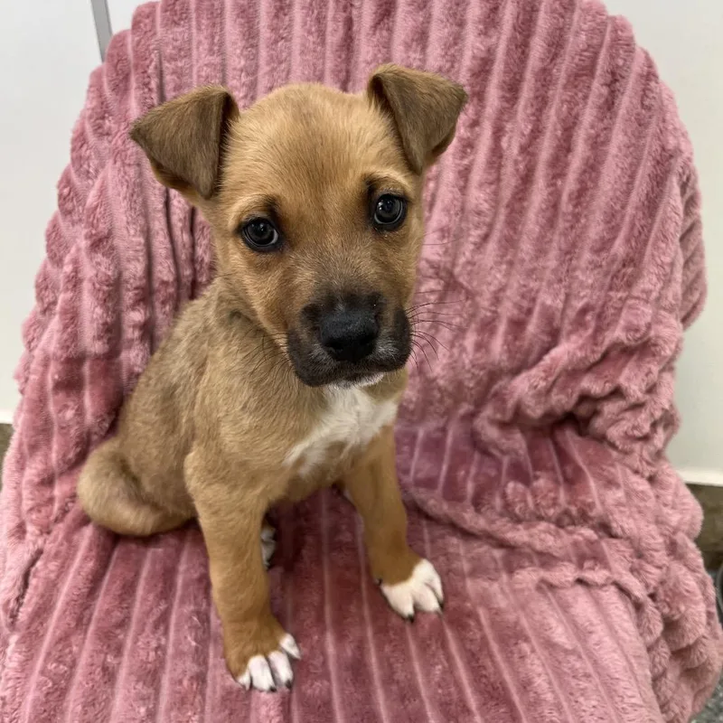 Billy Kimber thumbnail 2