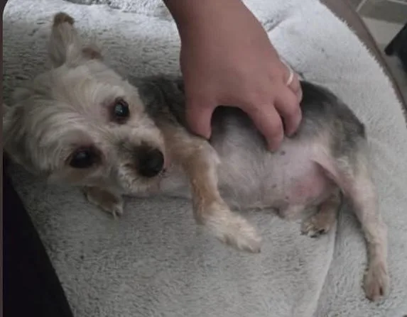 Andy thumbnail 2