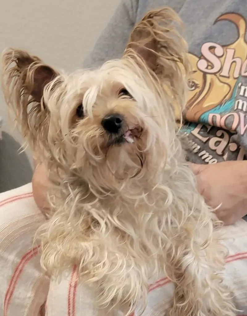 Andy thumbnail 5