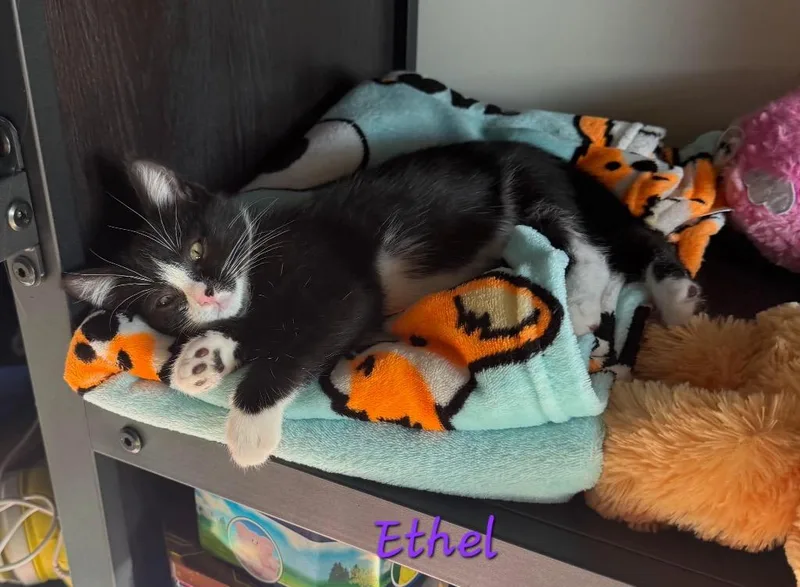 Ethyl