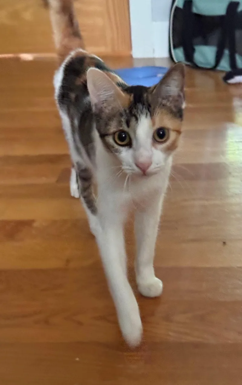Chloe thumbnail 3