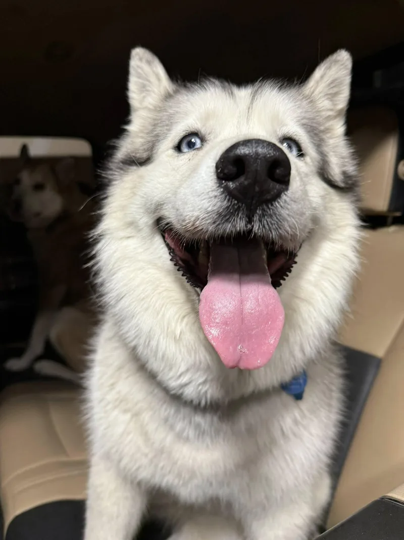 Racy Lacey thumbnail 5