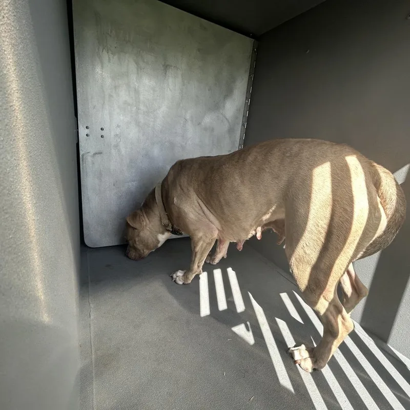 Kim Possible thumbnail 2