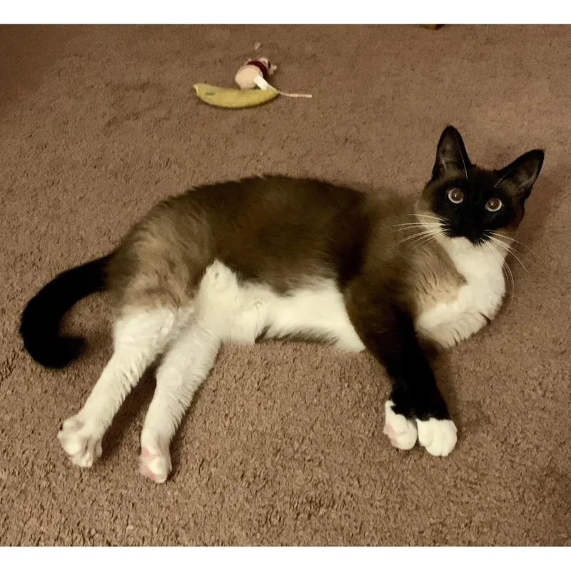 Liam & Tunky thumbnail 3