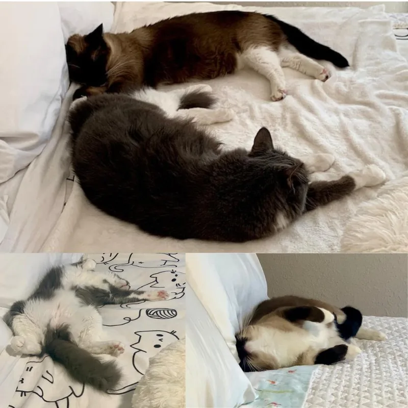 Liam & Tunky thumbnail 4