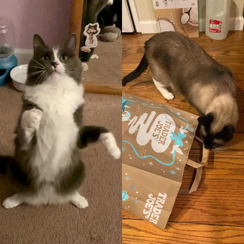 Liam & Tunky thumbnail 5