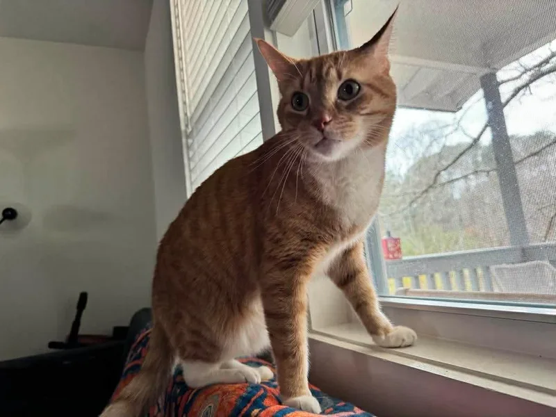 Precious thumbnail 2