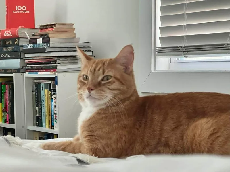 Precious thumbnail 3