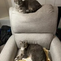 Veruca and Violet thumbnail 2