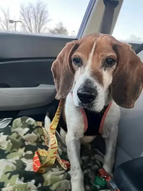 Patrick Caroline thumbnail 2