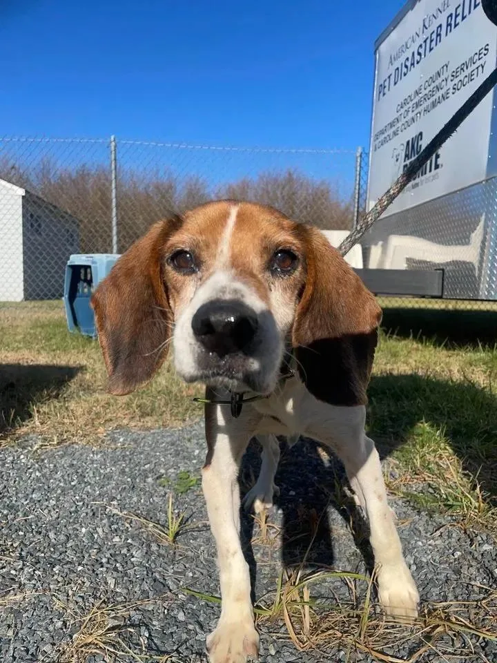 Patrick Caroline thumbnail 3