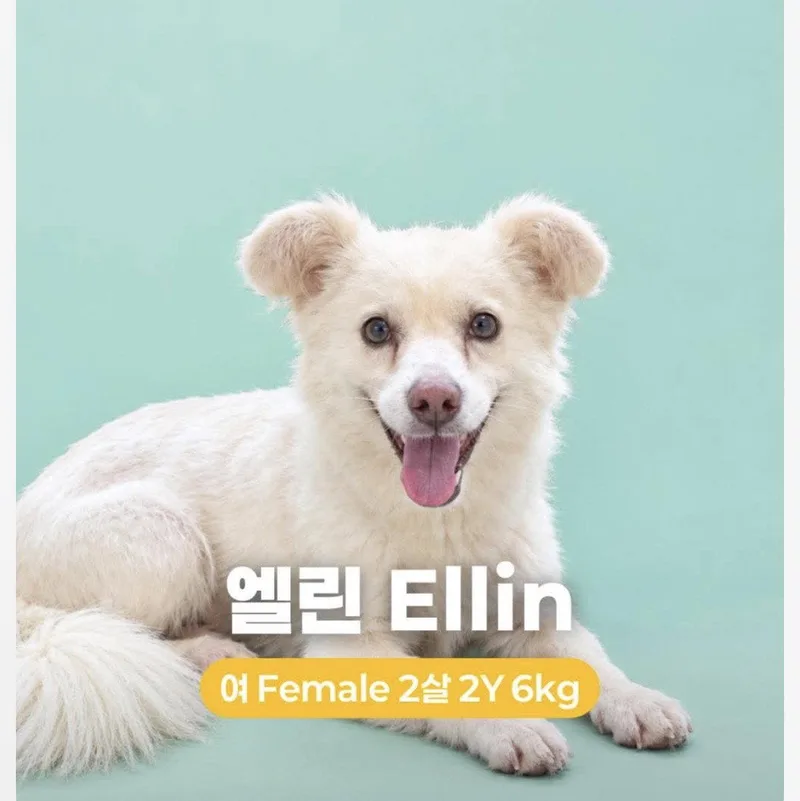 Ellin thumbnail 2