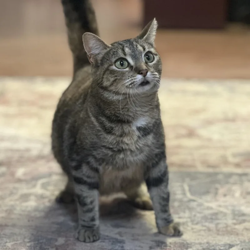 Mothership thumbnail 2