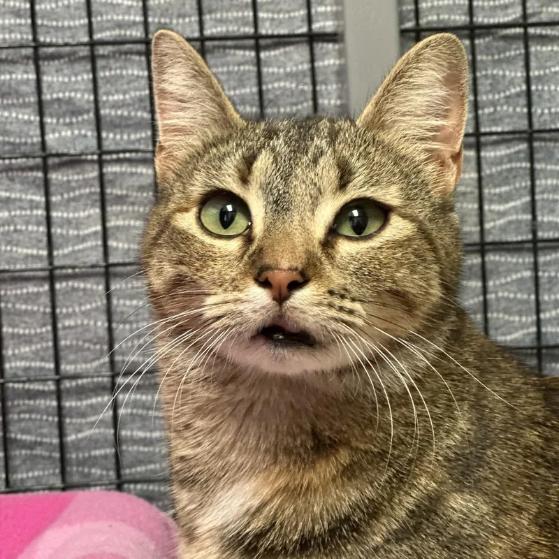 Mothership thumbnail 4