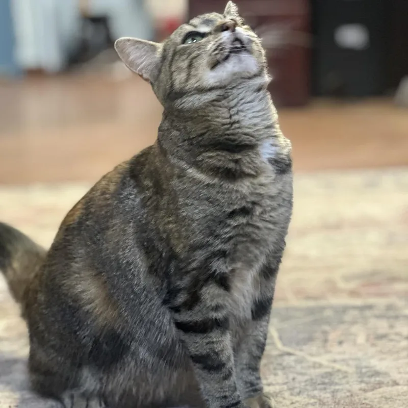 Mothership thumbnail 5