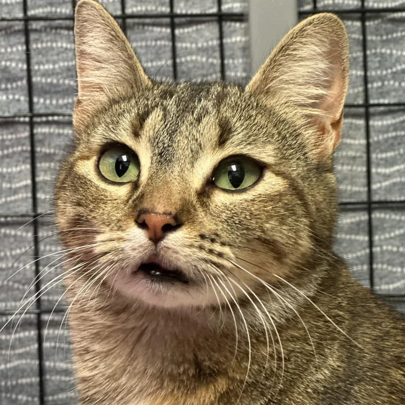 Mothership thumbnail 6