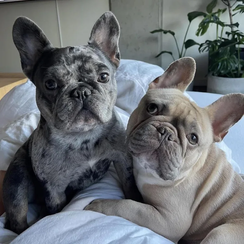 Lilly & Zoe