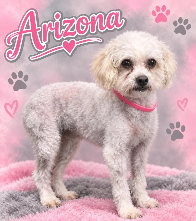 Arizona