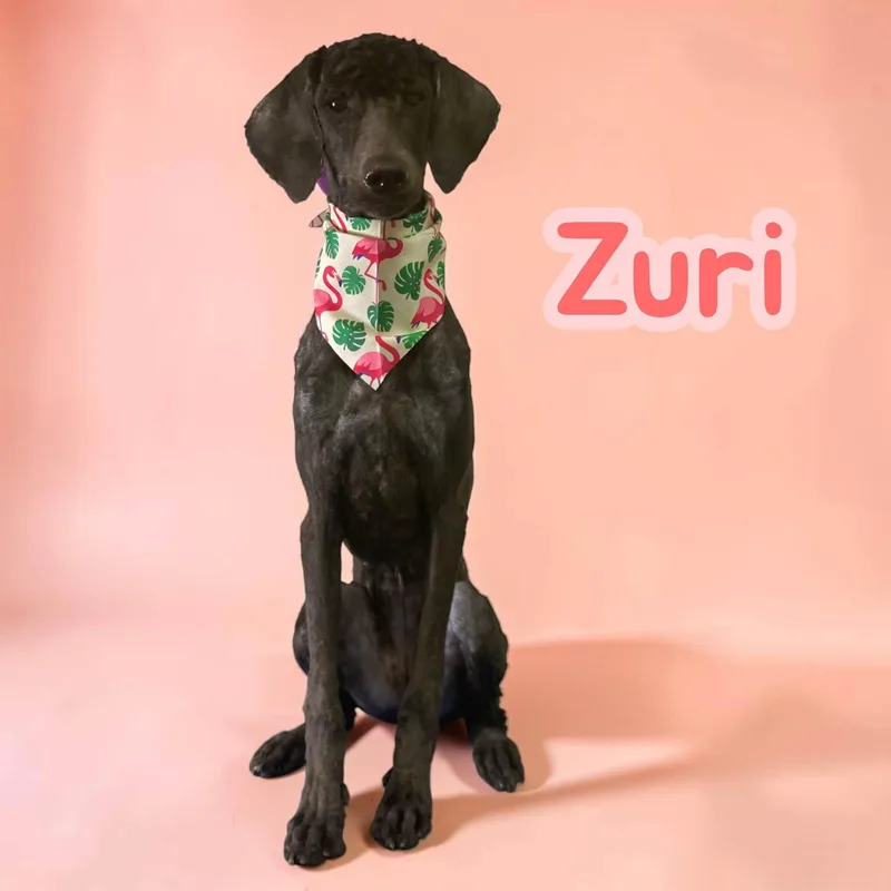 Zuri  young  thumbnail 2
