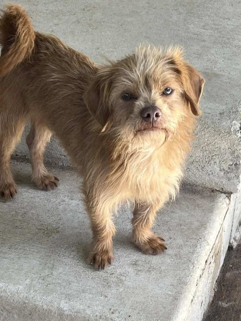 Mitchell thumbnail 2