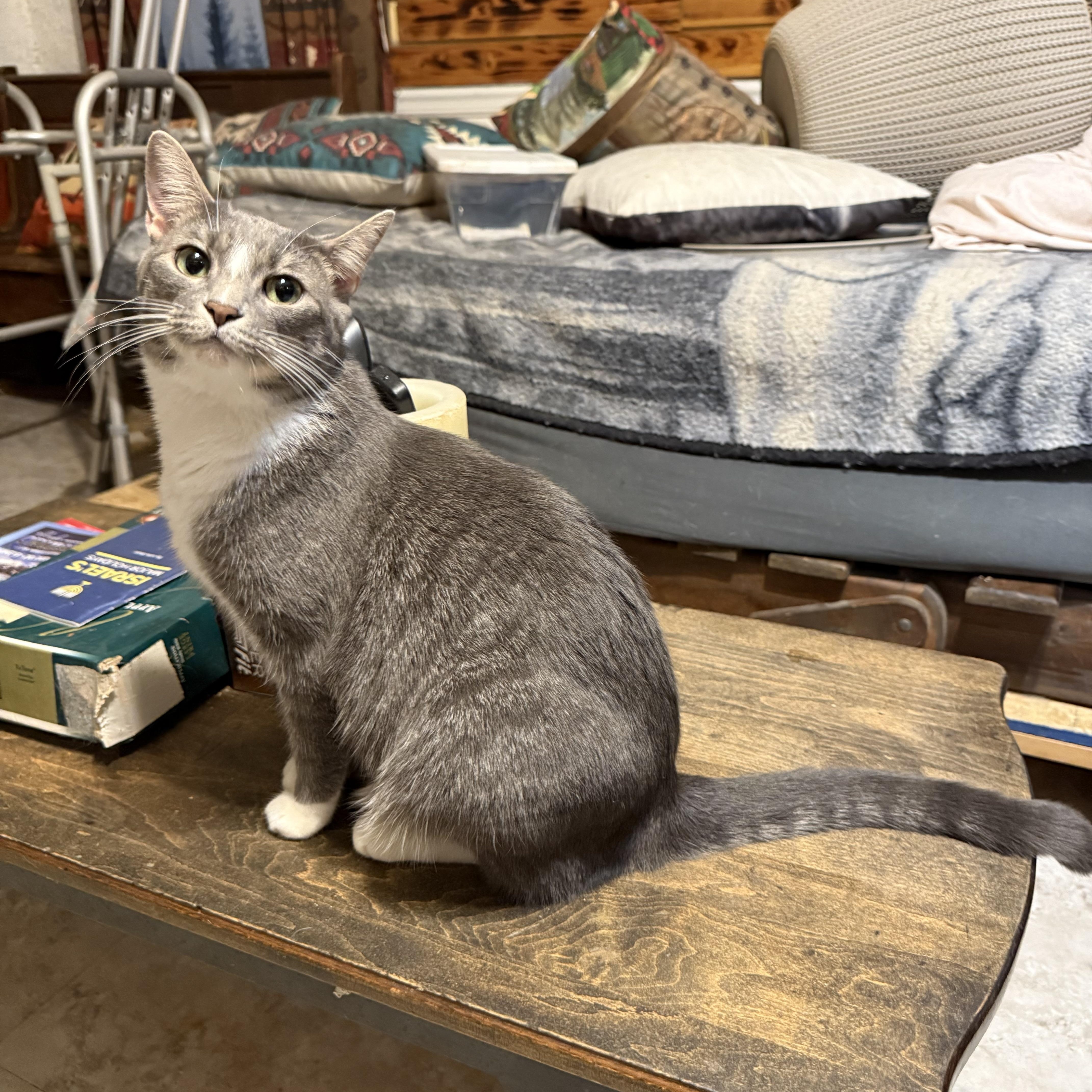 Lucky And Kiwi thumbnail 2