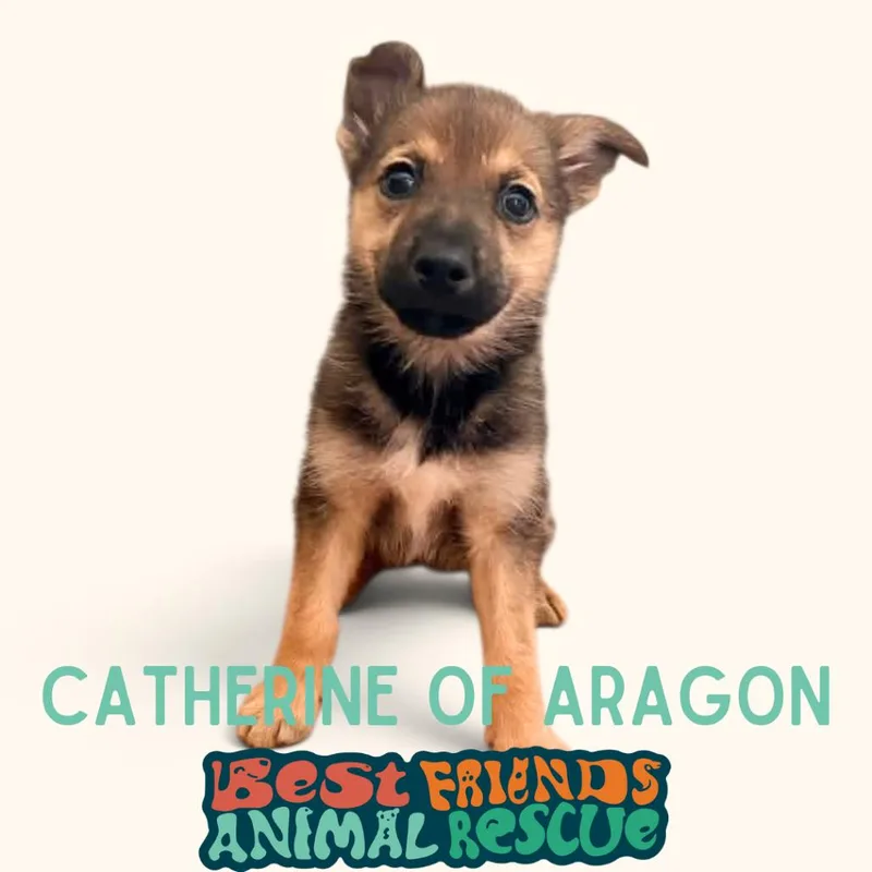 Catherine of Aragon