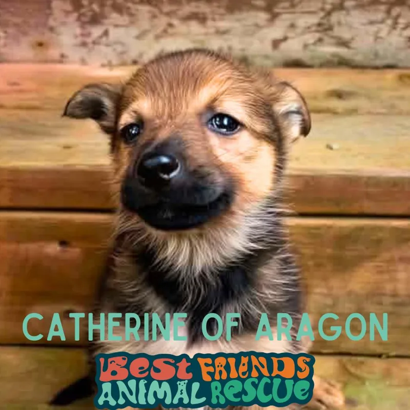 Catherine of Aragon thumbnail 2