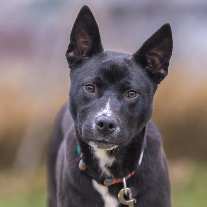 Tony Stark thumbnail 3