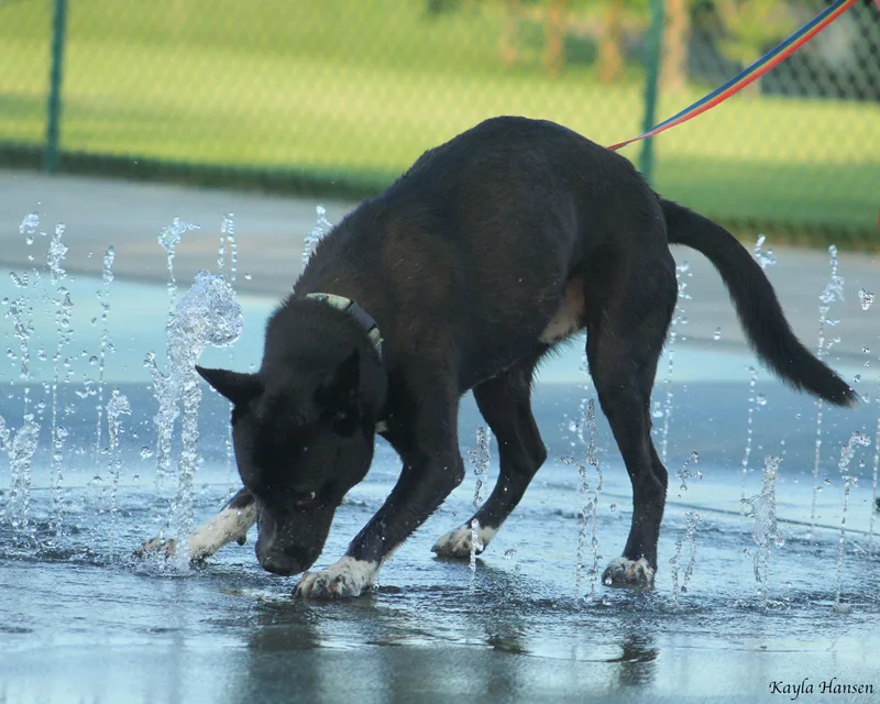 Tony Stark thumbnail 4