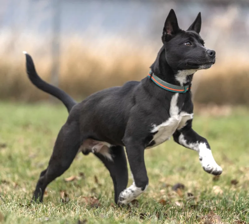 Tony Stark thumbnail 5